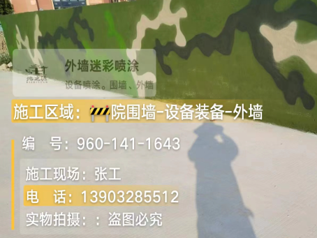 乐山 迷彩漆喷涂价格（按平方米计费）